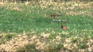 Ruger 10/22 18 inch - RWS Target Rifle - 170 Yards - Prone from Bipod