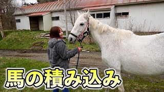 【大型トラック】実際に競走馬を積み込み