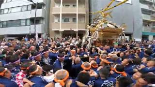 令和元年  　鳥越神社　例大祭　「 三筋南 」本社千貫神輿町内渡御　迫力満点です（生）  。