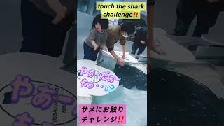 サメにお触りチャレンジ！#shorts #subscribe Touch the shark challenge!