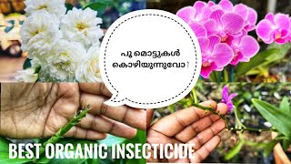 ഈ മരുന്ന് ചെടികളിൽ സ്പ്രൈ  ചെയ്‌തു നോക്കൂ Best Organic Insecticide  പൂ മൊട്ടുകൾ കൊഴിയാതെ ഇരിക്കാൻ