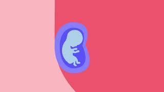 Abortion Pill Reversal Information