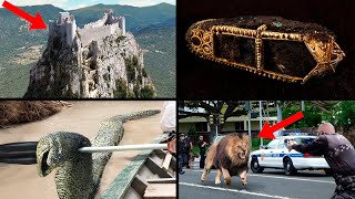 Incredible Archaeological Discoveries & Animal Stories! | ORIGINS EXPLAINED COMPILATION 56