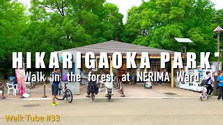 Walk around HIKARIGAOKA PARK｜NERIMA｜ZHIYUN crane M2　練馬区にある光が丘公園を歩った