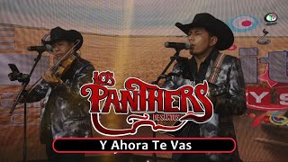 Los Panthers De Santos - Y Ahora Te Vas