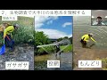 京都府立 宮津天橋高等学校【令和4年度 えひめの生物多様性を守りたい！甲子園】