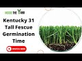 All  You Need To Know About Kentucky 31 Tall Fescue Germination Time