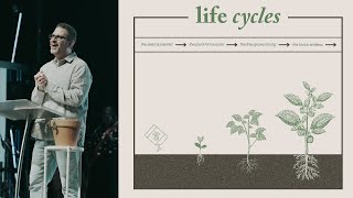 LIFE CYCLES | January 5th 2025 | 11 AM