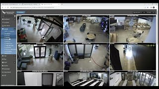 IPS Webinar: Video Surveillance with Eagle Eye Networks