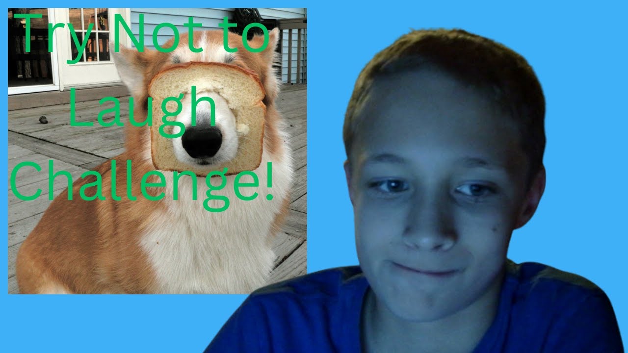 Try Not To Laugh Challenge Youtube