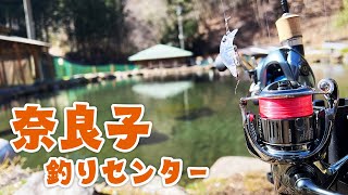 トップで爆釣！初めての奈良子釣りセンター【エリアトラウト】