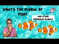 What is the Plural of Fish?