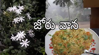 heavy rain 🌧🌧 beautiful weather||జోరు వాన🌧🌧 పారే నీరు