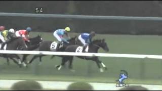 2013年 2歳新馬 / レッドリヴェール