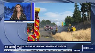 Man arrested for arson after brush fire along I-5 in Lacey | Q13 FOX Seattle