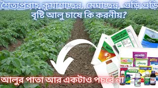 এই নিয়মে ঔষধ ব্যবহার করলে আলুর পাতা পঁচা/ লেইট ব্লাইট/ মোড়ক রোগ আক্রমণ করবেনা ১০০% জেনে নিন || KBP |