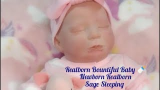 Sage Newborn Sleeping 🍼 Realborn Reborn Bountiful Baby Art Doll ✨ Unboxing 🎁 Box Opening \u0026 Review 💕💖