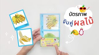 บัตรจับคู่ ชุด ผลไม้ (Fruits) เกมจับคู่ภาพผลไม้ด้านนอก-ด้านใน พร้อมคำศัพท์อังกฤษ-ไทย 40 ใบ/ ET-326