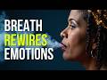 The Neuroscience of Breath: How to Use Breathing to Control Emotions