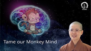 How to Train Our Monkey Mind | Simple Method to Tame Busy Mind | Ven. Master Miao Jing | 調伏煩亂心 妙淨法師