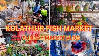 Kolathur Aquarium Fish Market 🐠🦜|Sunday Market |2nd Biggest Asia Aquarium Fish Market Vlog