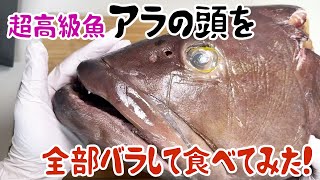 I tried dissecting and eating the entire head of a super-precious fish called fishhead!