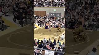 大相撲　2023年４月８日 上越場所横綱　照ノ富士　土俵入り