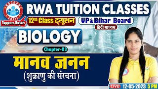 मानव जनन(Human Reproduction), शुक्राणु की संरचना 12th Biology Class, UP Board Biology Class