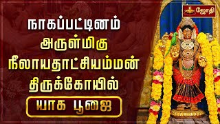 நாகப்பட்டினம் அருள்மிகு நீலாயதாட்சியம்மன் திருக்கோயில் - யாக பூஜை | Nagapattinam | Jothitv