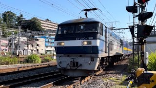 花月園前踏切にて、JR貨物EF210形100番台168号機+コキ20B 通過シーン