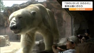 ゴールデンウイークの動物園　子どもも、ホッキョクグマもお互いに興味津々　仙台