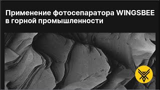 Применение фотосепаратора WINGSBEE в горной промышленности