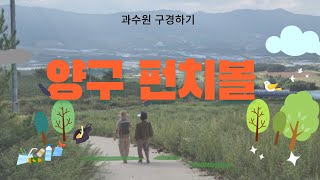 양구 펀치볼 2만평 과수원 사과와 사투 구경하기