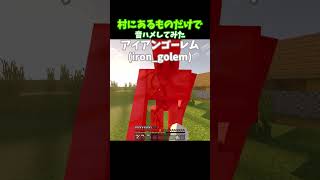 マイクラで音ハメしてみた（村編）