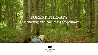 FOREST THERAPY: Reconnecting with Nature via Shinrinyoku