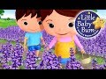 Lavender's Blue Dilly Dilly | Nursery Rhymes for Babies by LittleBabyBum - ABCs and 123s