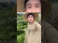 劳动节就是要劳动！ 农村生活 我的乡村生活 打菜籽