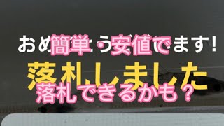 ヤフオクでめだかの卵を購入