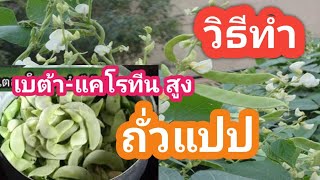 วิธีทำ ซุปถั่วแปป อร่อยเวอร์ !! How to Soup Pea