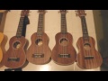 小學雞結他網 沙比利木ukulele測試