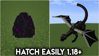 How to hatch Ender dragon in Minecraft ! Hatch Ender dragon egg in Minecraft (2022)