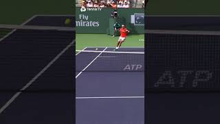 Roger Federer Wins CRAZY Point Vs Novak Djokovic 🚀