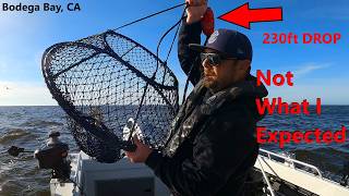 Surprising Catch in my Deepwater Hoop Net Drop!