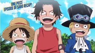 Childhood Bonds and New Beginnings, Sabo and Luffy's Reunion | One Piece Anime recap