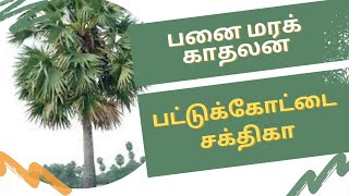 20 ஆயிரம் பனை விதைகள் மற்றும் 5 ஆயிரம் மரக்கன்றுகள் நட்டு அசத்திய பட்டுக்கோட்டை விதை அறக்கட்டளை