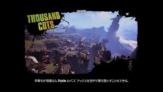 【Borderlands2】Thousand CutsでLLMマラソンと小銭稼ぎ