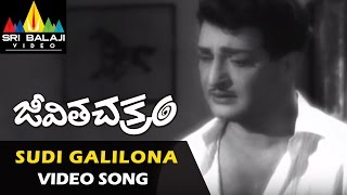 Jeevitha Chakram Video Songs | Sudi Galilona Video Song | NTR, Vanisri, Sharada  | Sri Balaji Video