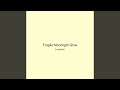 Fragile Moonlight Glow