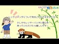 国際レッサーパンダデー2024