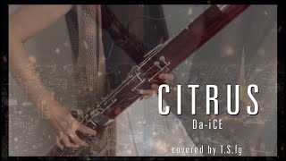 CITRUS　/　Da-iCE【fagotto/bassoon cover】